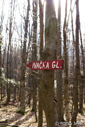 Prema Ivačkoj glavi