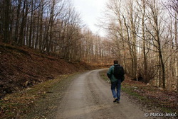 Zagy predvodi put