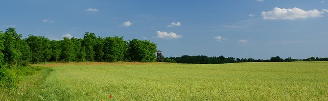 Priroda u Slavoniji